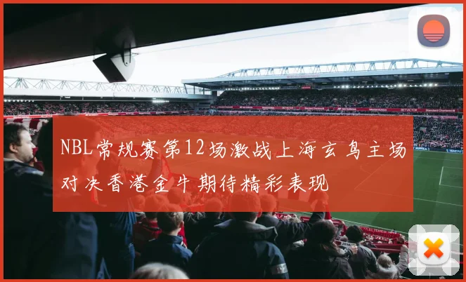 NBL常规赛第12场激战上海玄鸟主场对决香港金牛期待精彩表现