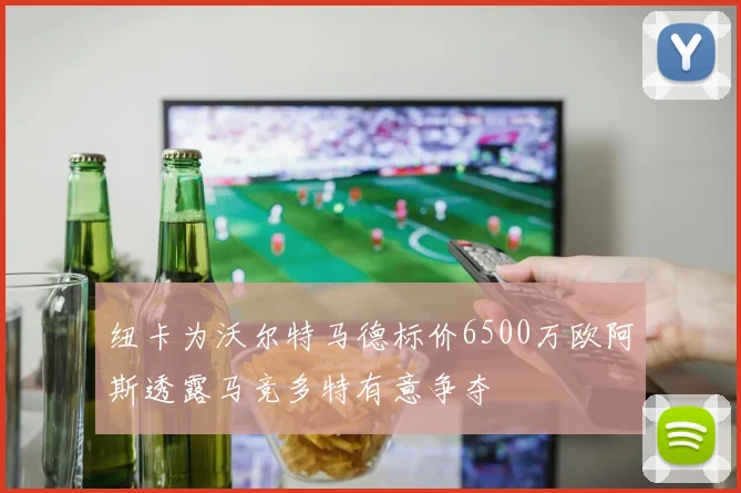 纽卡为沃尔特马德标价6500万欧阿斯透露马竞多特有意争夺